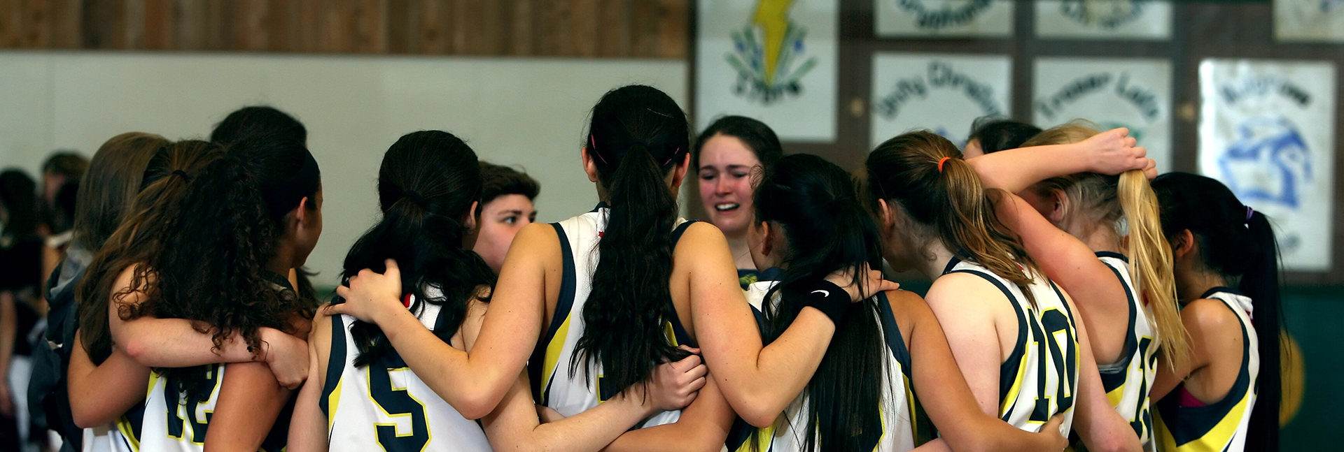Camisas de polo de algod&oacute;n de damas